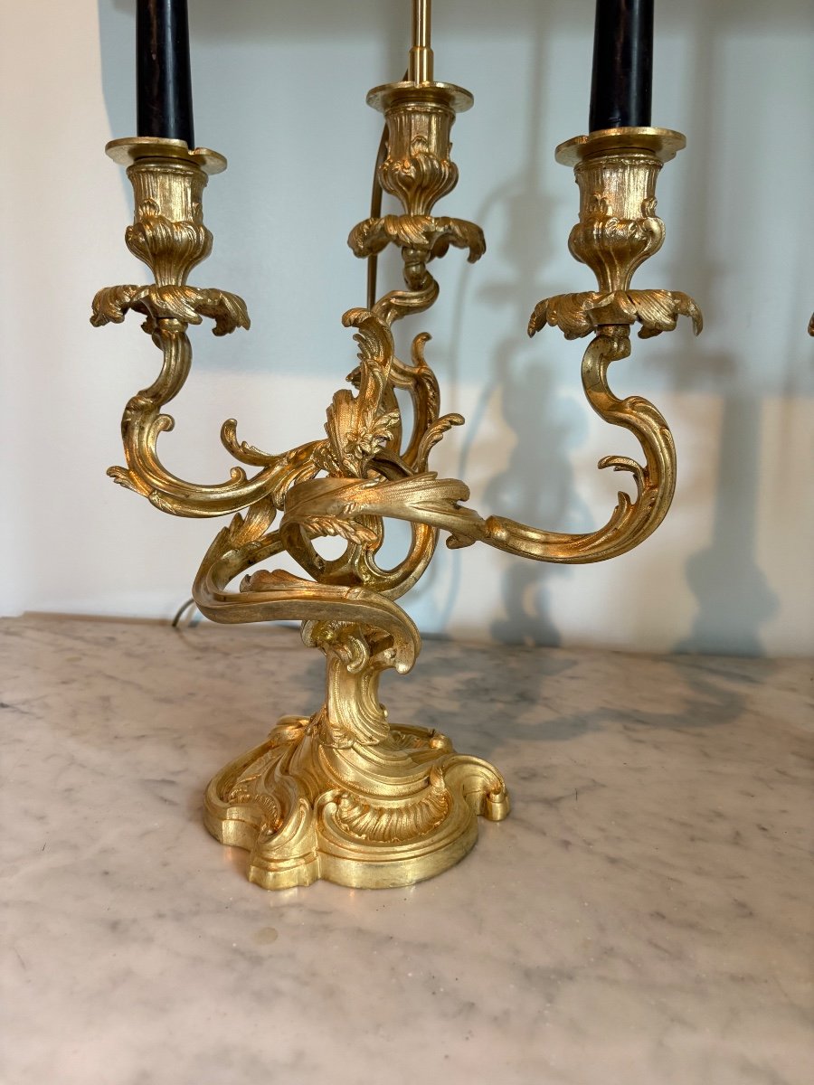 Louis XV Gilded Bronze Rocaille Candlesticks -photo-6