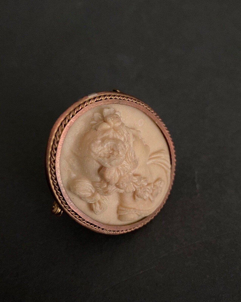 Antique Cameo Of A Woman's Profile In 19th Century Limestone, Gilded Metal Surround-photo-4
