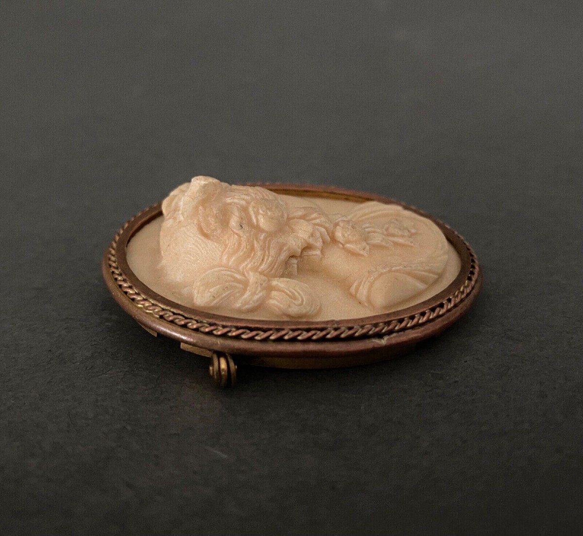 Antique Cameo Of A Woman's Profile In 19th Century Limestone, Gilded Metal Surround-photo-1