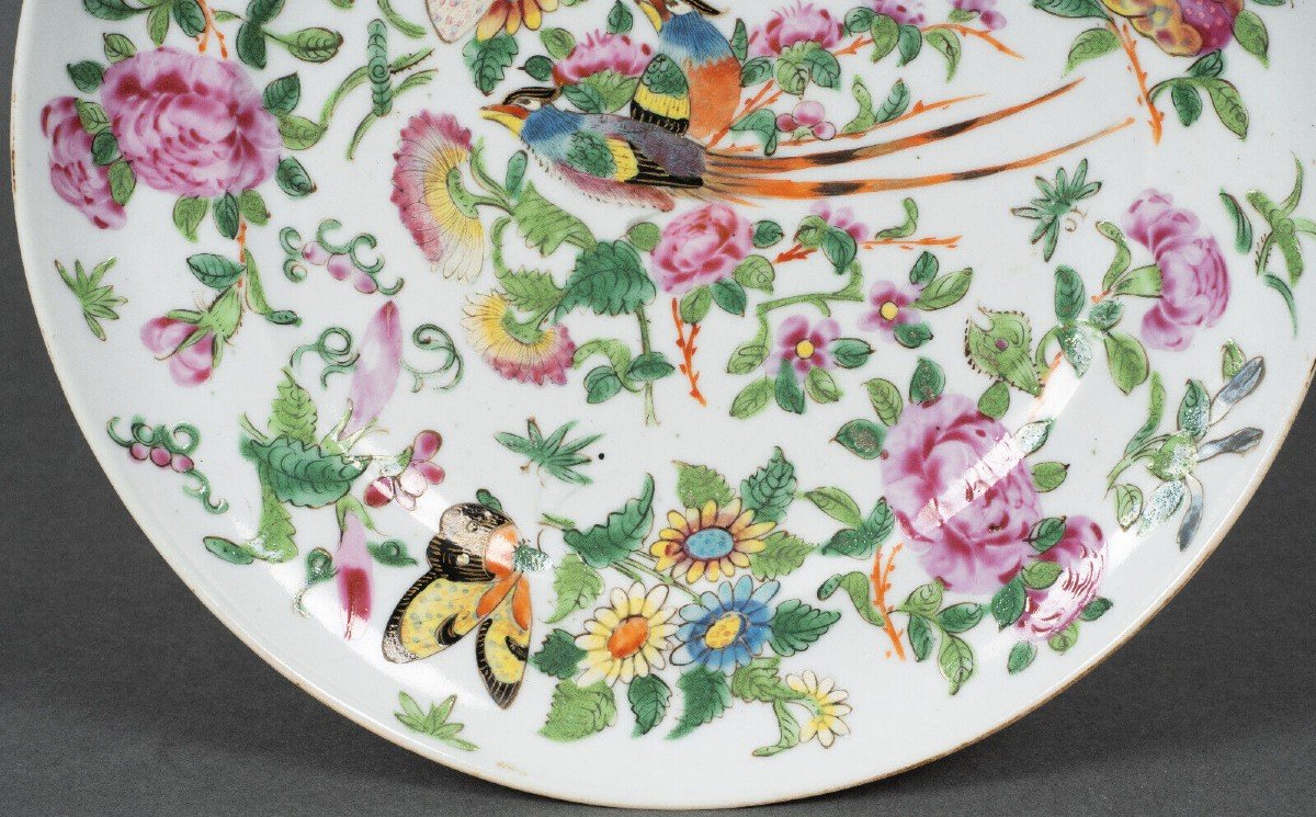 Assiette en porcelaine de Canton XIXe décor de papillons et d'oiseau-photo-4