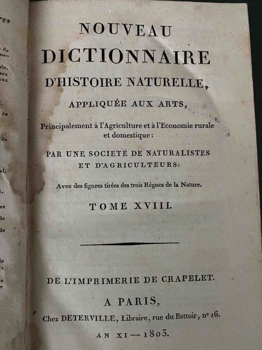 Nouveau Dictionnaire d'Histoire Naturelle 5 tomes Desterville 1803-photo-5