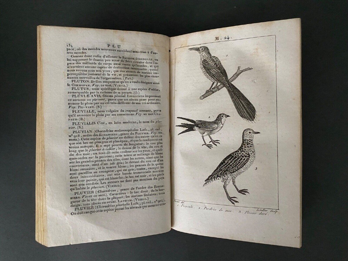 Nouveau Dictionnaire d'Histoire Naturelle 5 tomes Desterville 1803-photo-6