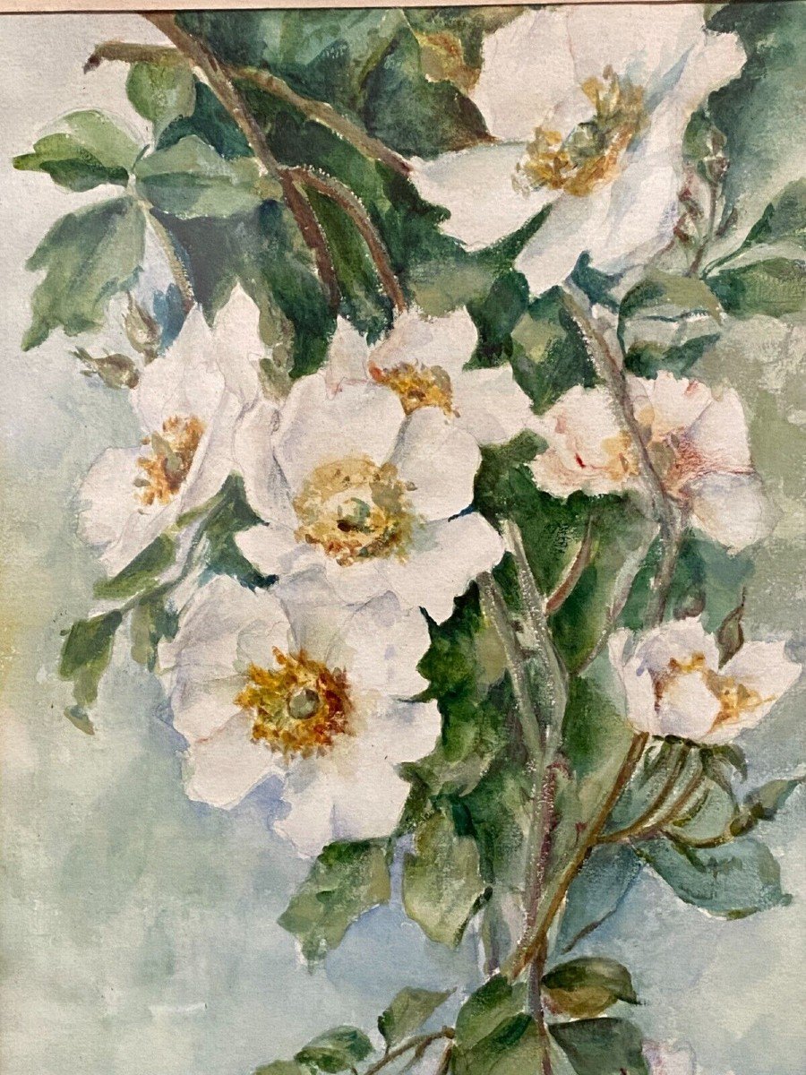 Watercolor On Paper Still Life Bouquet Of Flowers By J. Crédey 20th Century-photo-1