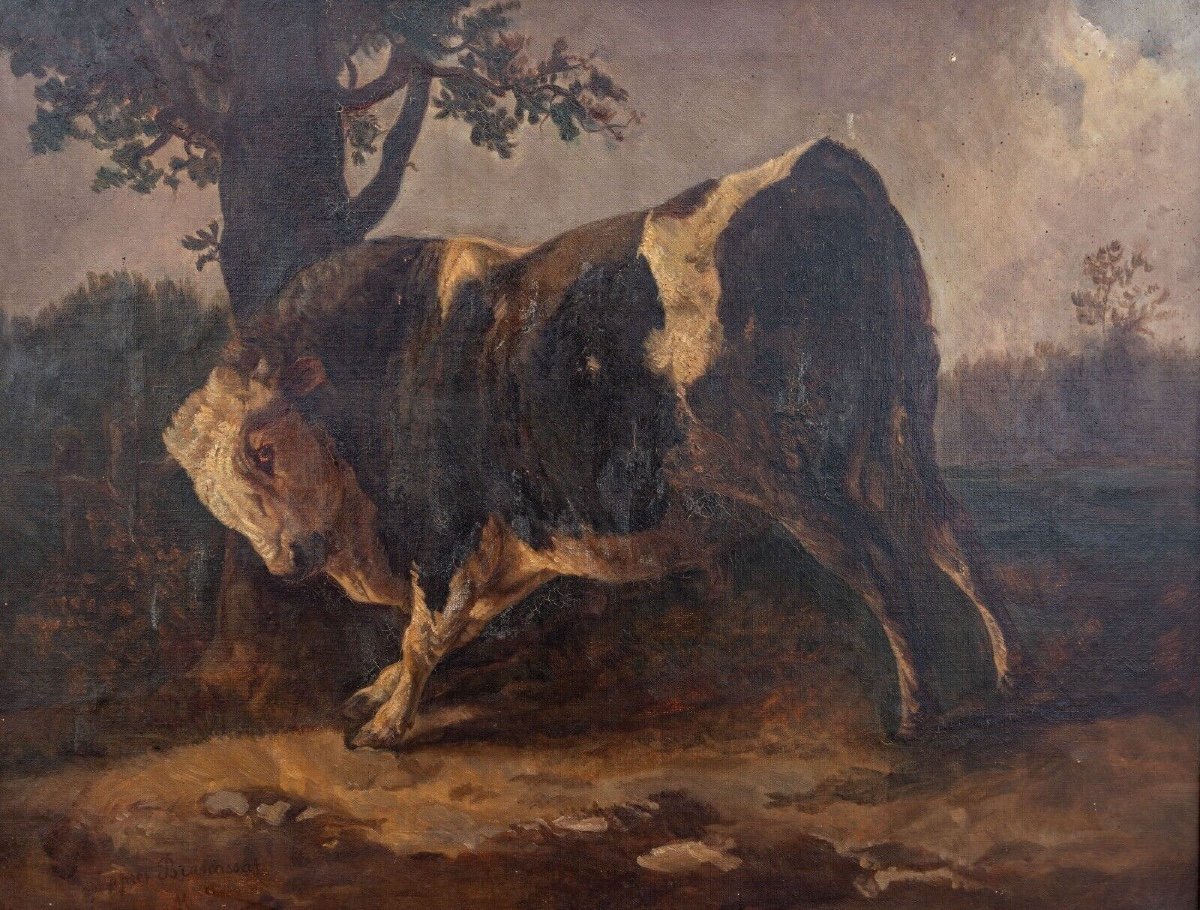 Oil On Canvas Bull Rubbing Against A Tree After Brascassat-photo-2