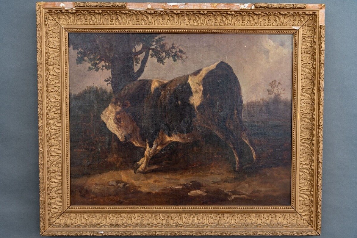 Oil On Canvas Bull Rubbing Against A Tree After Brascassat