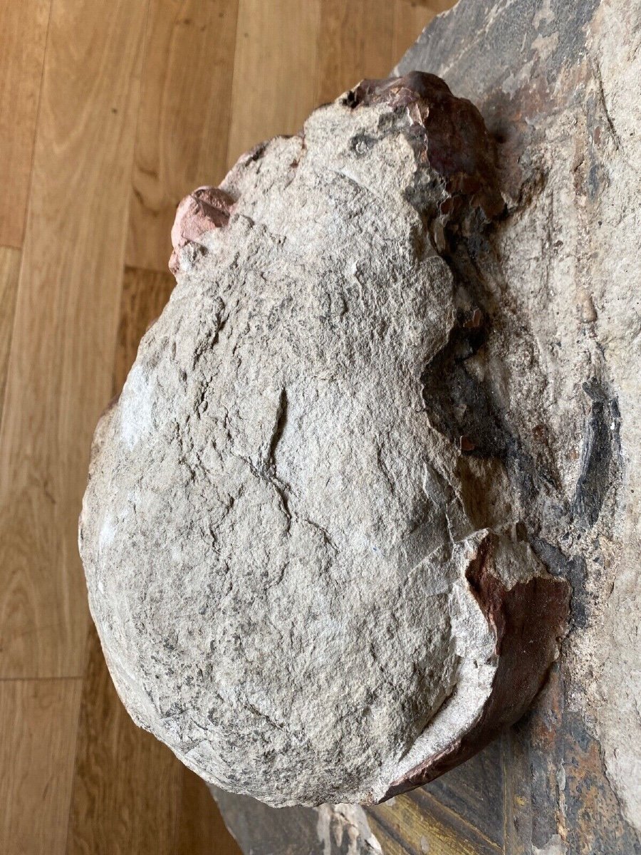 Sculpture Profile Of A Man With Hair, Face, Direct Cut Stone, 20th Century-photo-5