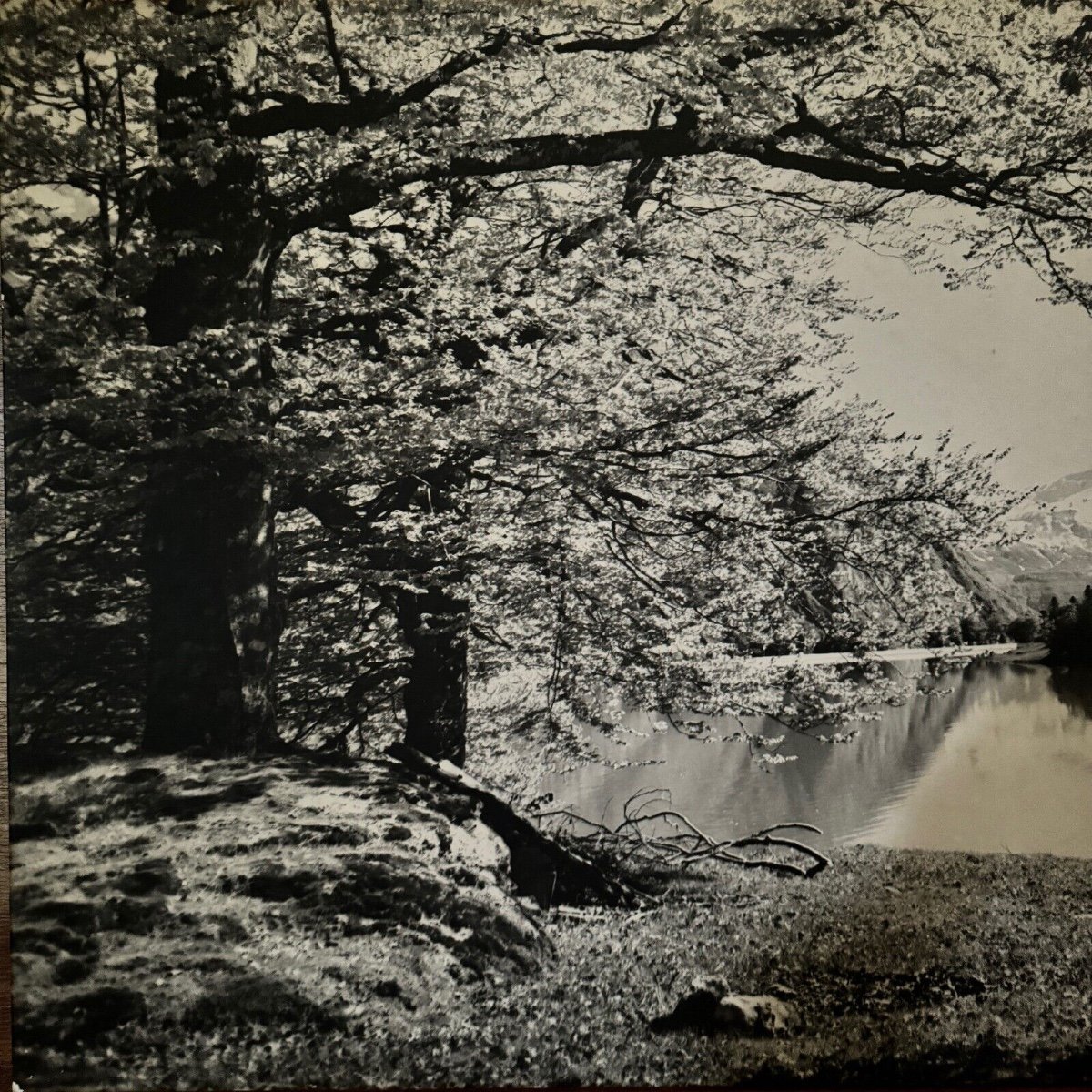 Photo On A Wooden Panel Mountain Landscape 1960-photo-2