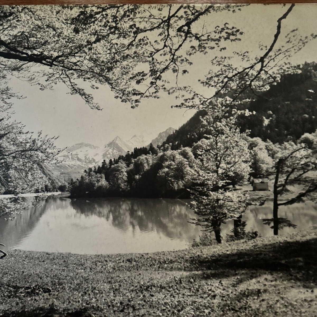 Photo On A Wooden Panel Mountain Landscape 1960-photo-3