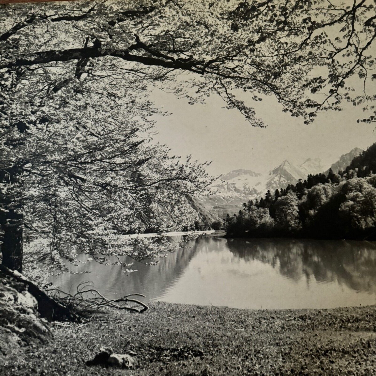 Photo On A Wooden Panel Mountain Landscape 1960-photo-4