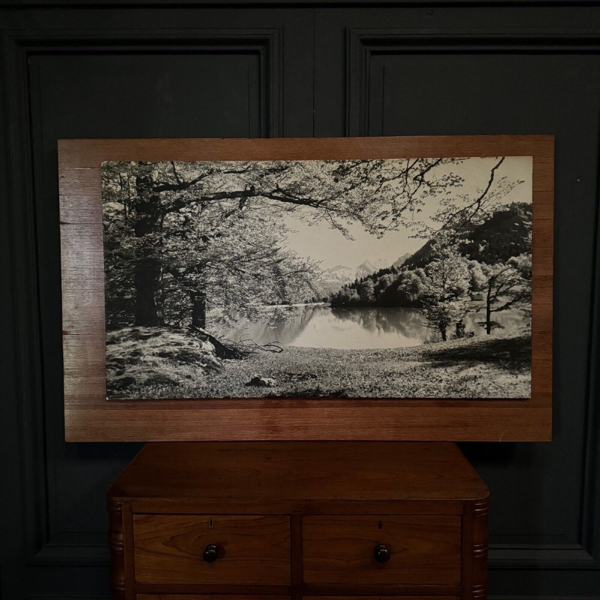 Photo On A Wooden Panel Mountain Landscape 1960