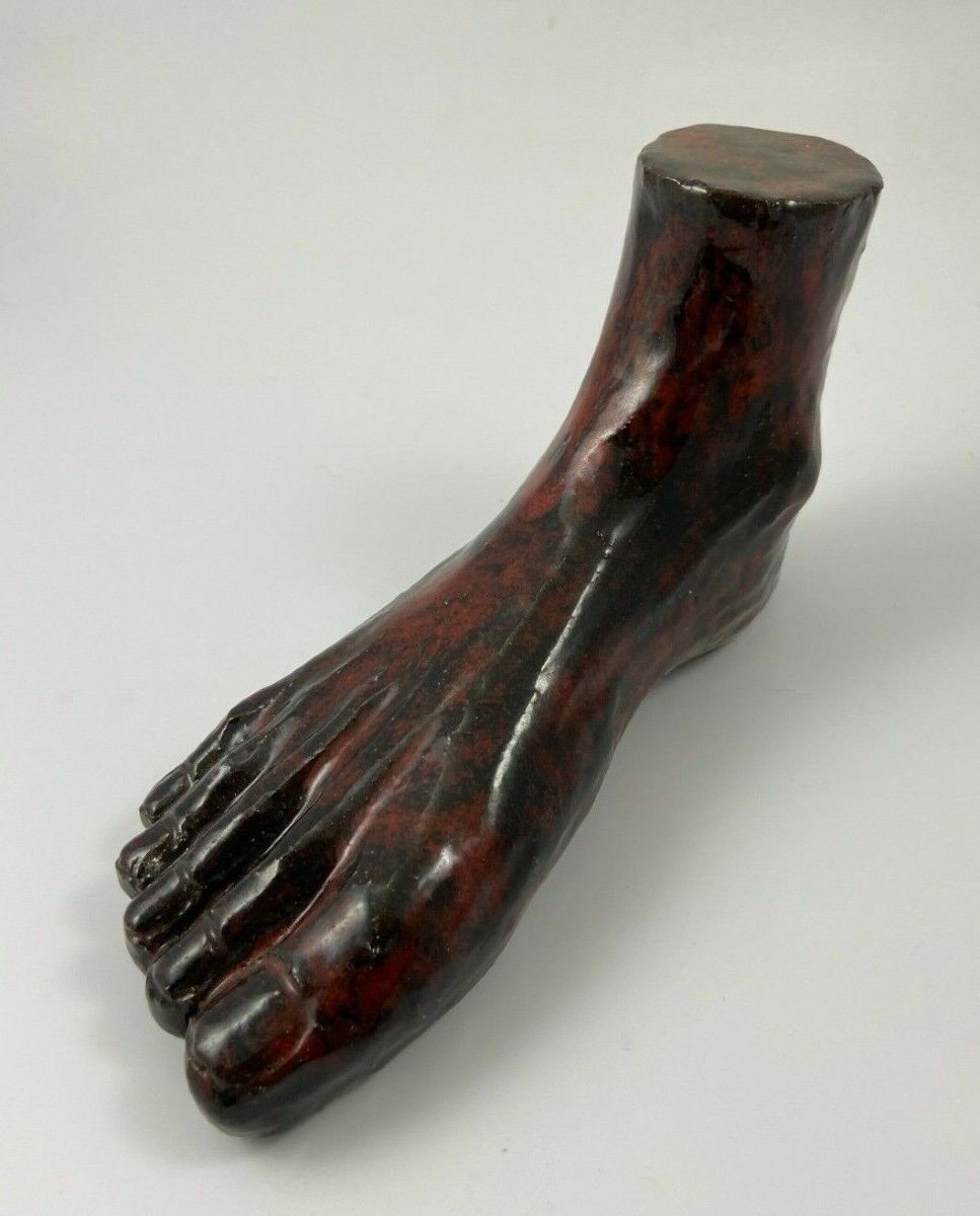 Glazed Terracotta Foot 1950 Design Sculpture Curiosity Cabinet-photo-6