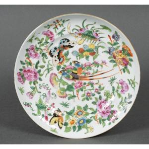 Assiette en porcelaine de Canton XIXe décor de papillons et d'oiseau