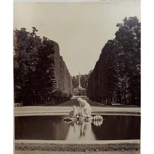 Photo Parc De Schoenbrunn 19th Century Albumen Laminated Cardboard