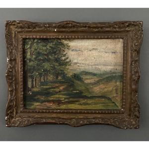 Huile sur toile représentant un paysage forestier début XXe cadre stuc