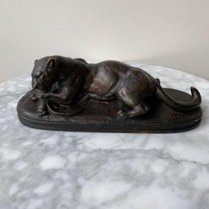 Lioness In Bronze By Edouard Delabrièrre Brown Patina