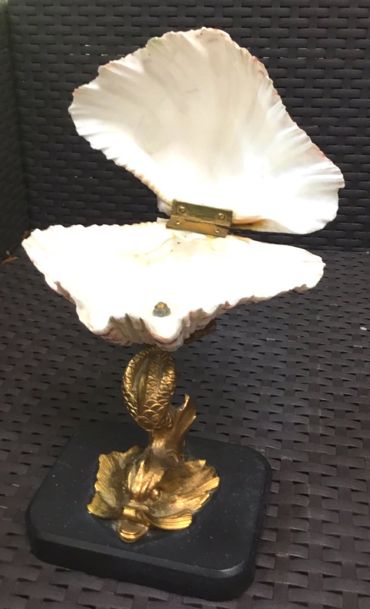 Bronze Mounted Shell With Dolphin For Empty Pocket Use