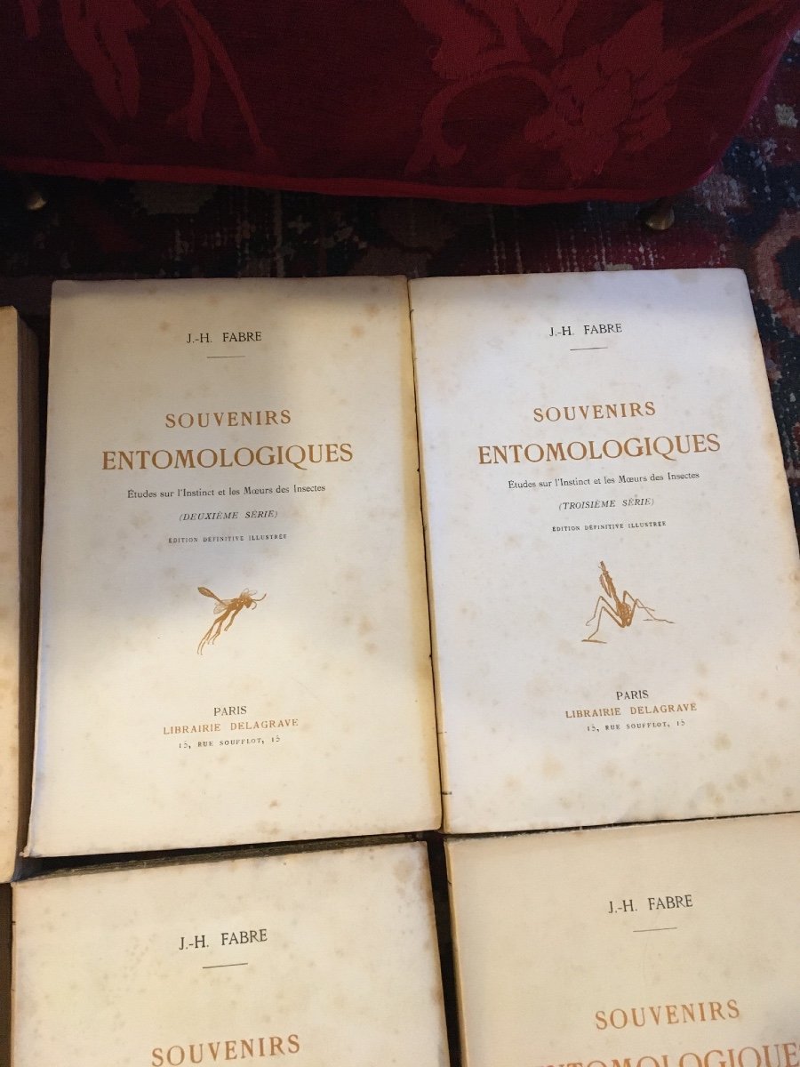 Fabre J.- H. - Souvenirs Entomologiques. 11 Vol Ed Delagrave.1922 --photo-5