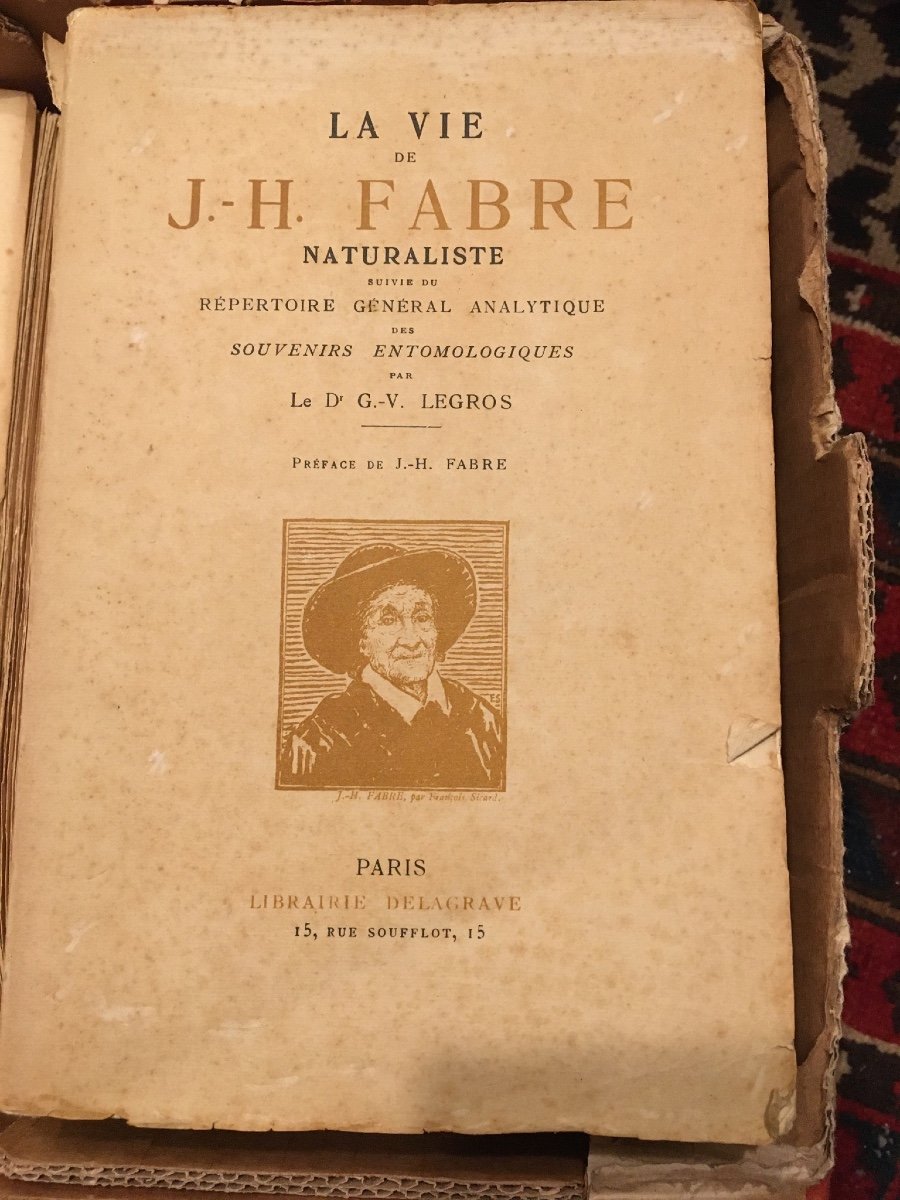 Fabre J.-h. - Entomological Memories. 11 Theft Ed Delagrave.1922 --photo-7