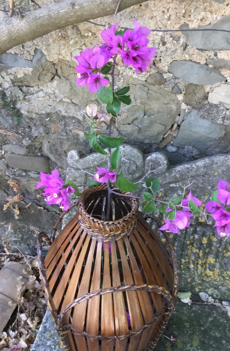 Important Vase à Ikebana En Osier Courbé (54 cm) -photo-3