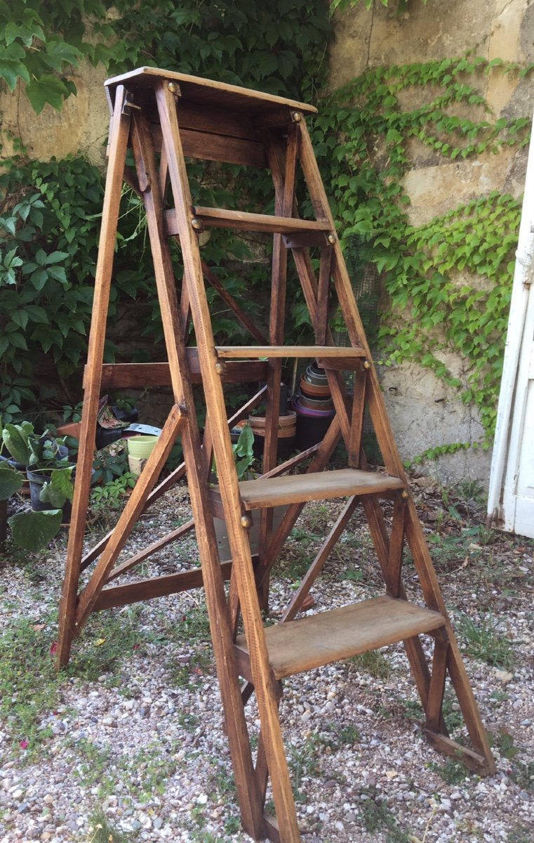 Escabeau De Bibliothèque Ou D Atelier En Chêne-photo-6