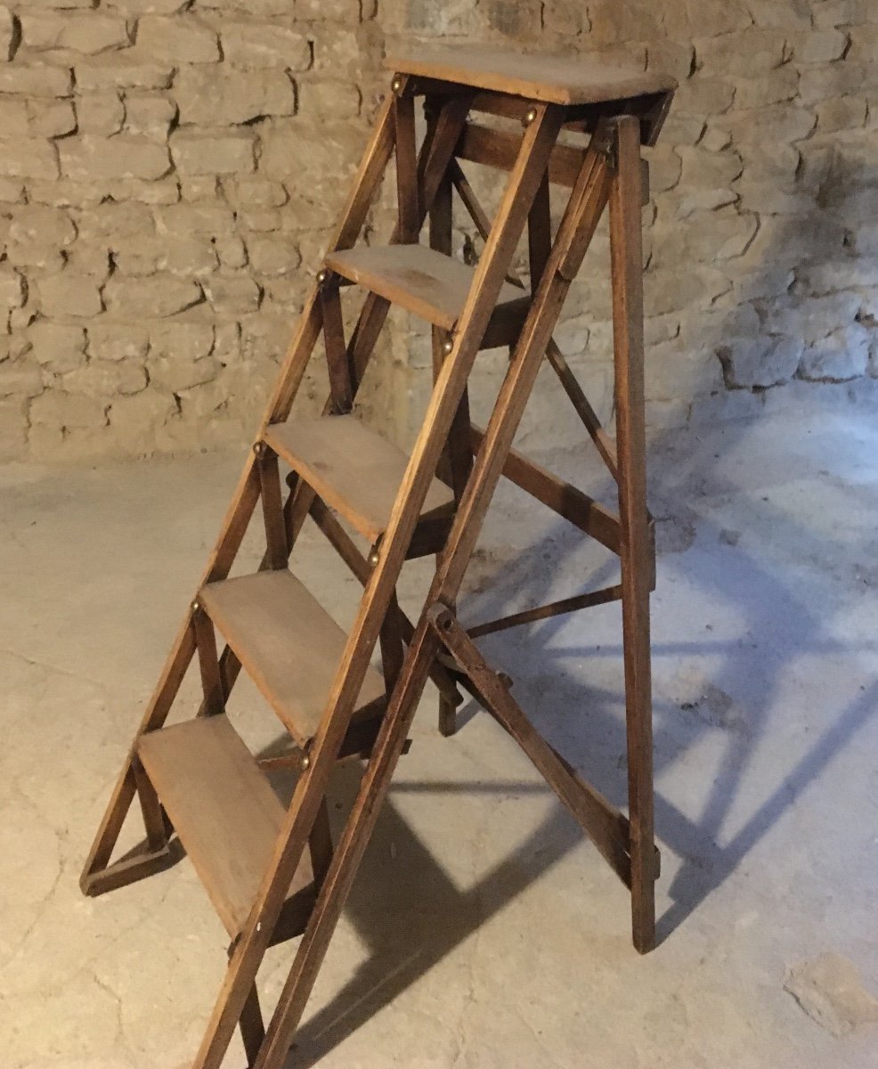 Oak Library Or Workshop Stepladder