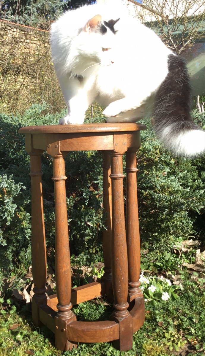 Tabouret De Chantre, Chevet, à Colonnes 