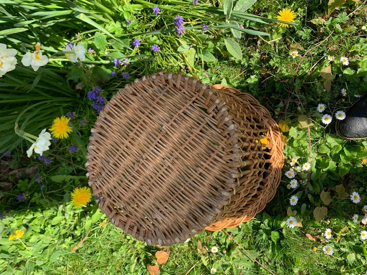 corbeille à papiers, tout en osier tressé-photo-5