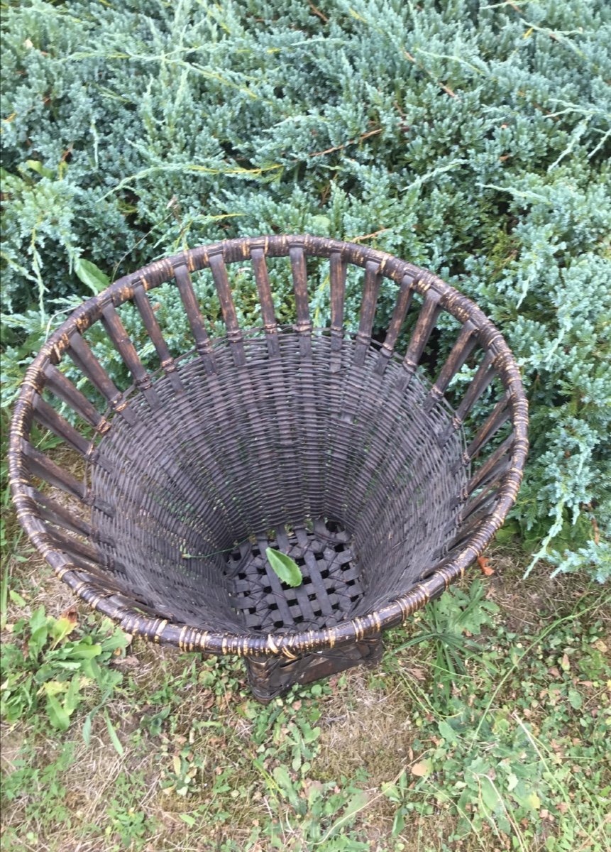 Ikebana Basket, Imposing Woven Bamboo Basket -photo-4