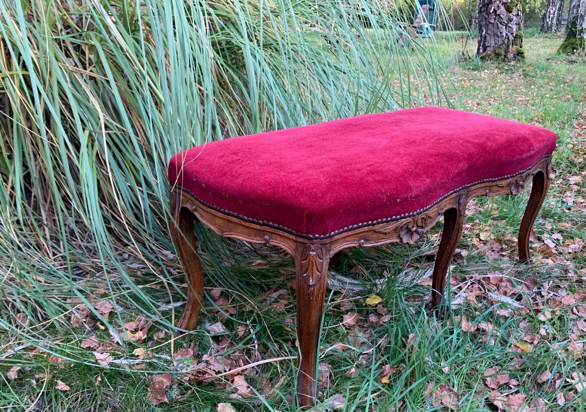 Large Louis XV Style Bench With 6 Legs 