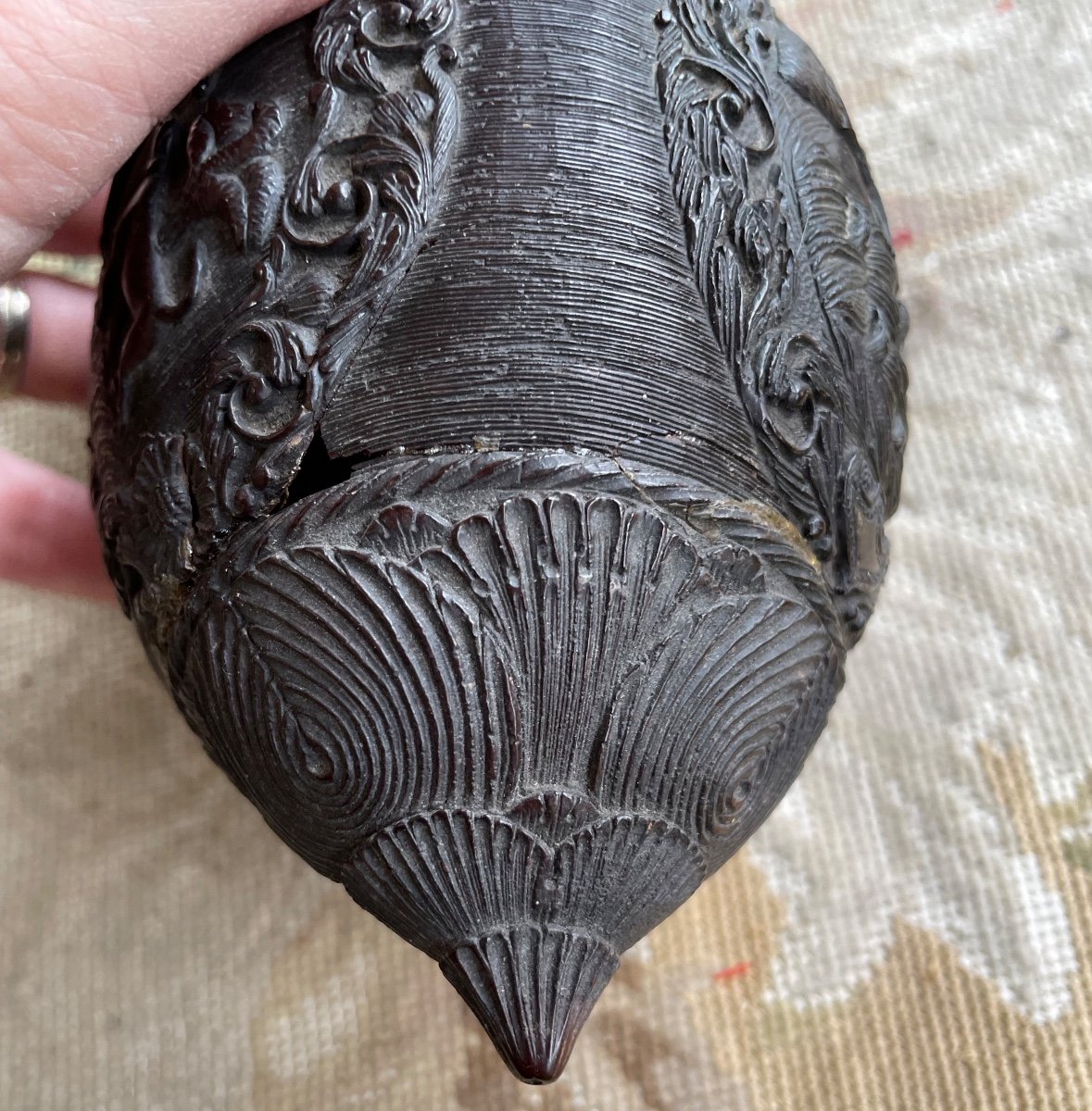 Carved Corozzo Nut Forming Animal Head Snuff Box-photo-4