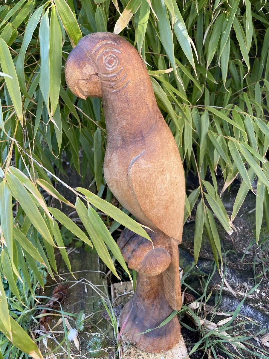 Parrot Folk Art In Direct Carving -photo-3