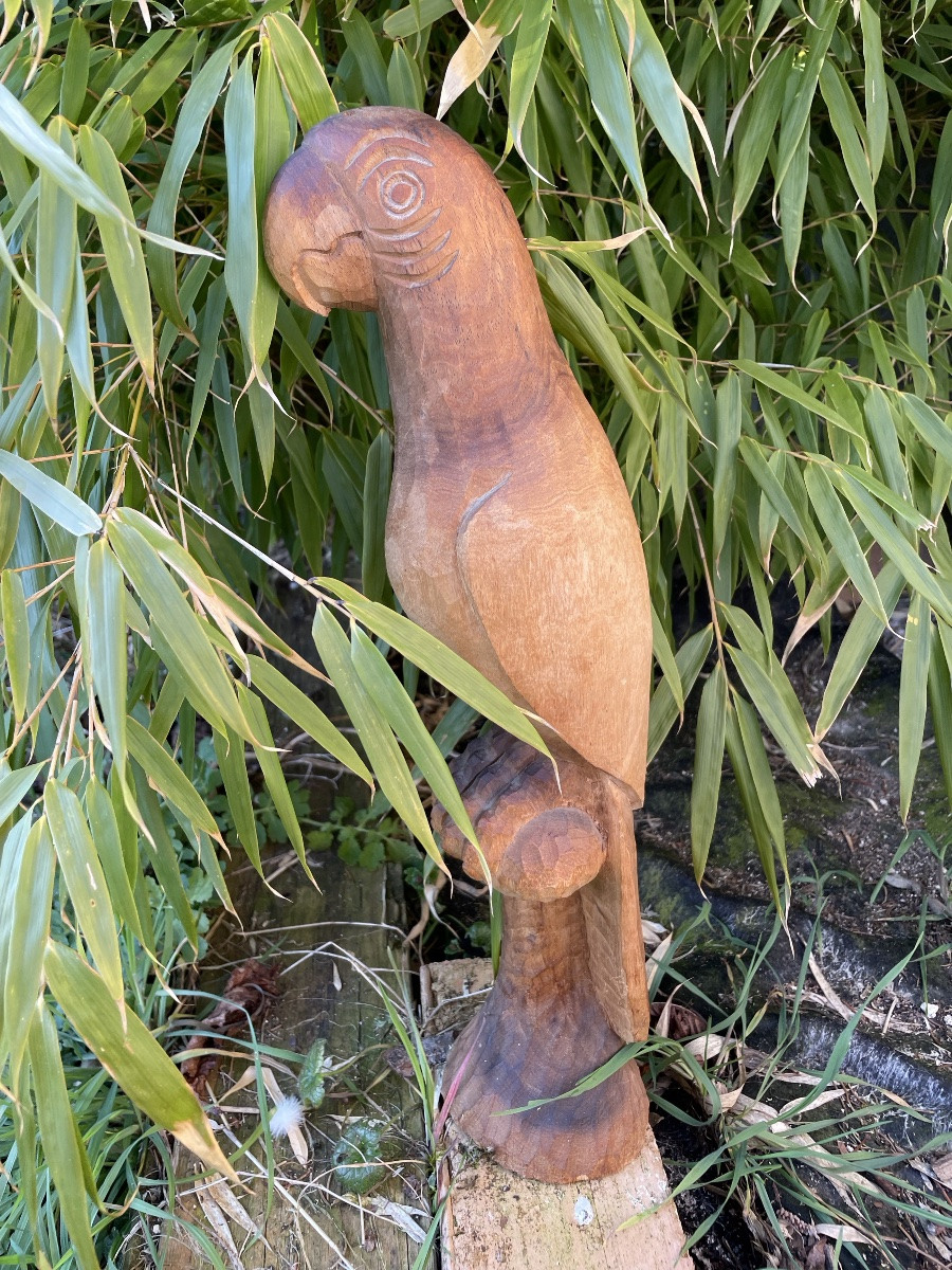 Parrot Folk Art In Direct Carving -photo-4