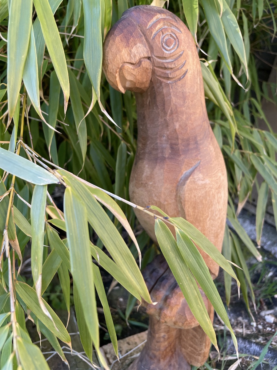 Parrot Folk Art In Direct Carving 