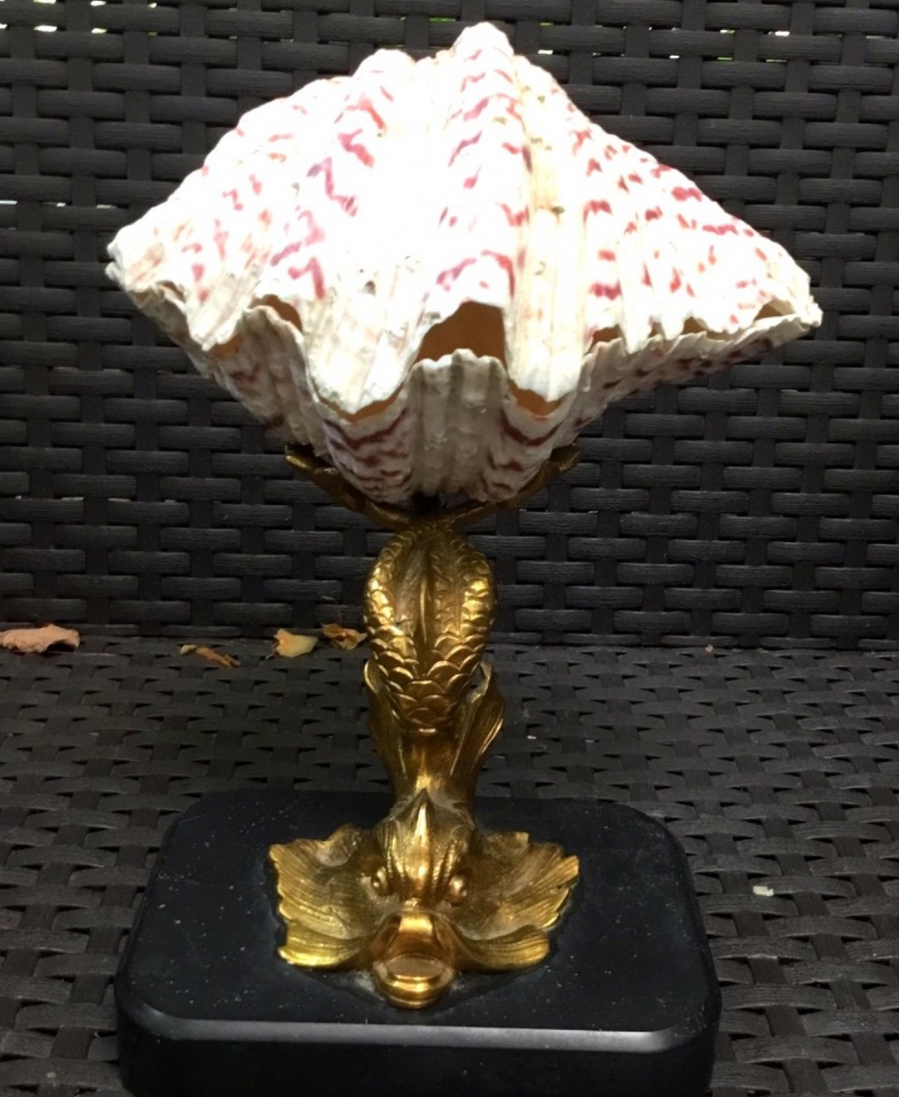 Bronze Mounted Dolphin Shell For Empty Pocket Use-photo-4