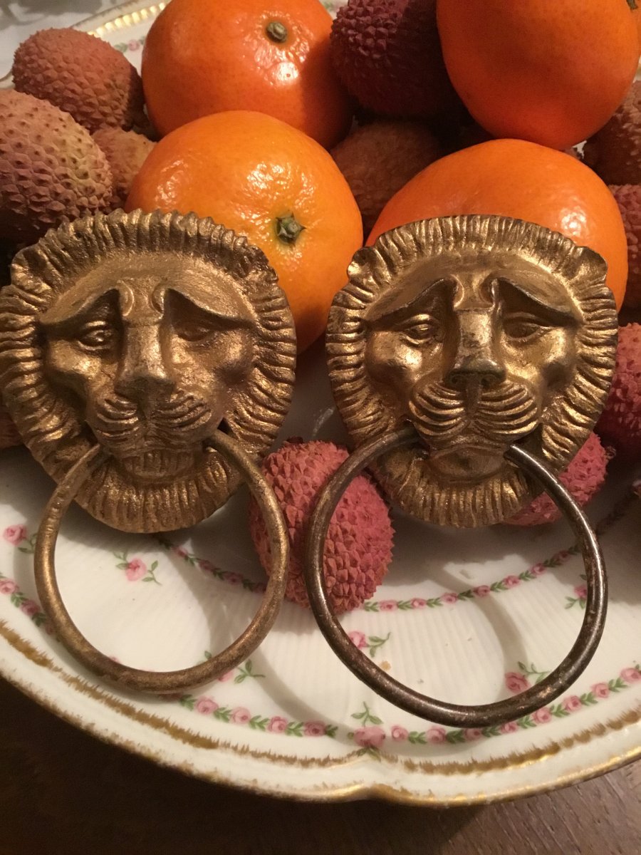 Gilt Bronze Lions Pull Handles, Restoration-photo-2