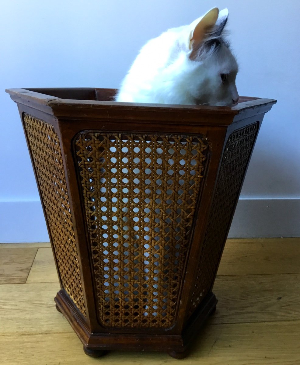 Louis XVI Style Hexagonal Cane Wastebasket