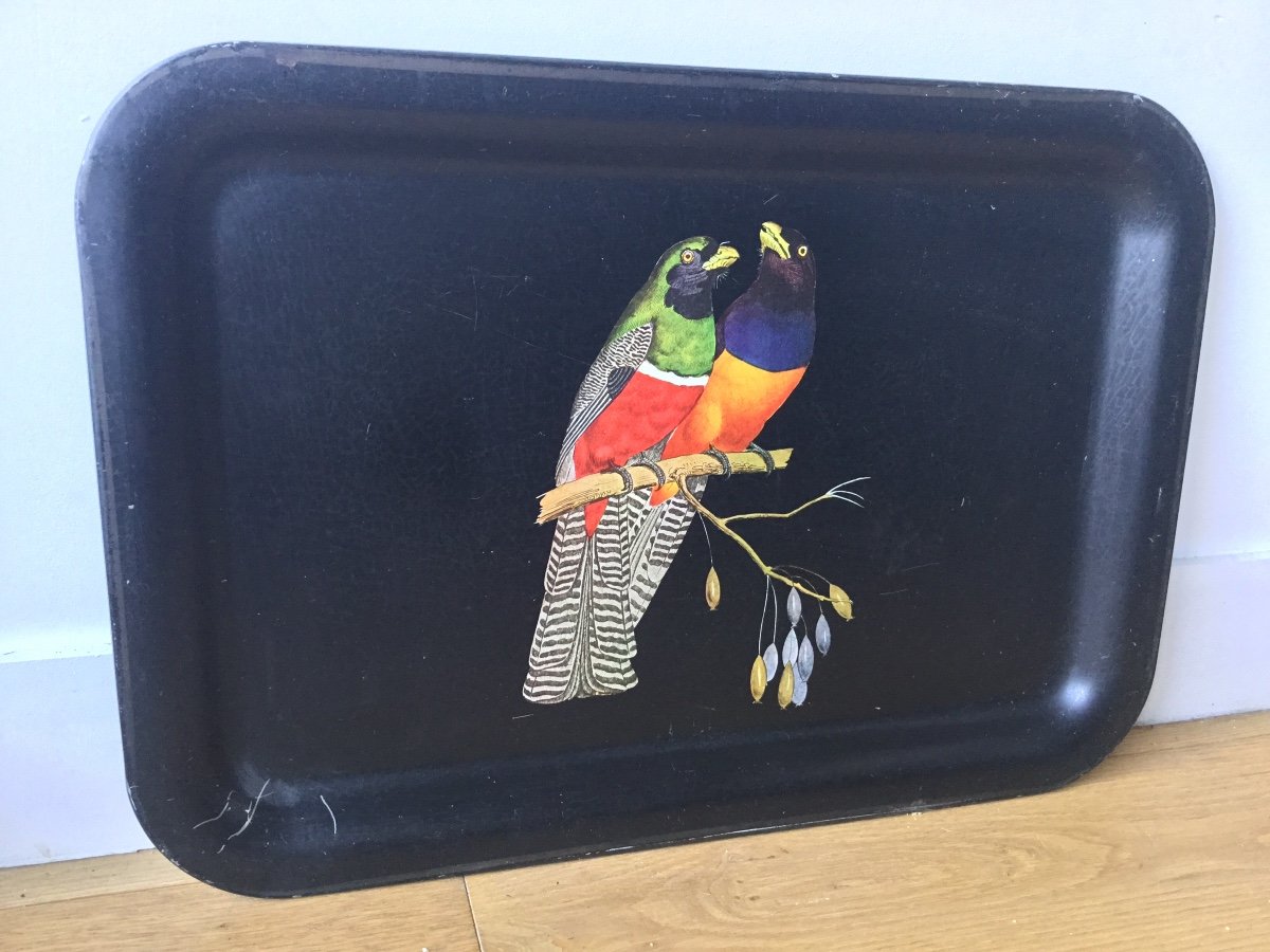 Sheet Metal Serving Tray, Parrots Decor-photo-4