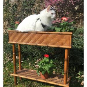 Bamboo Planter Patina, Circa 1950