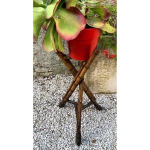 Bamboo Planter Stand, Circa 1900