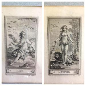 The Pair Of Nicely Framed Nature And Air Engravings