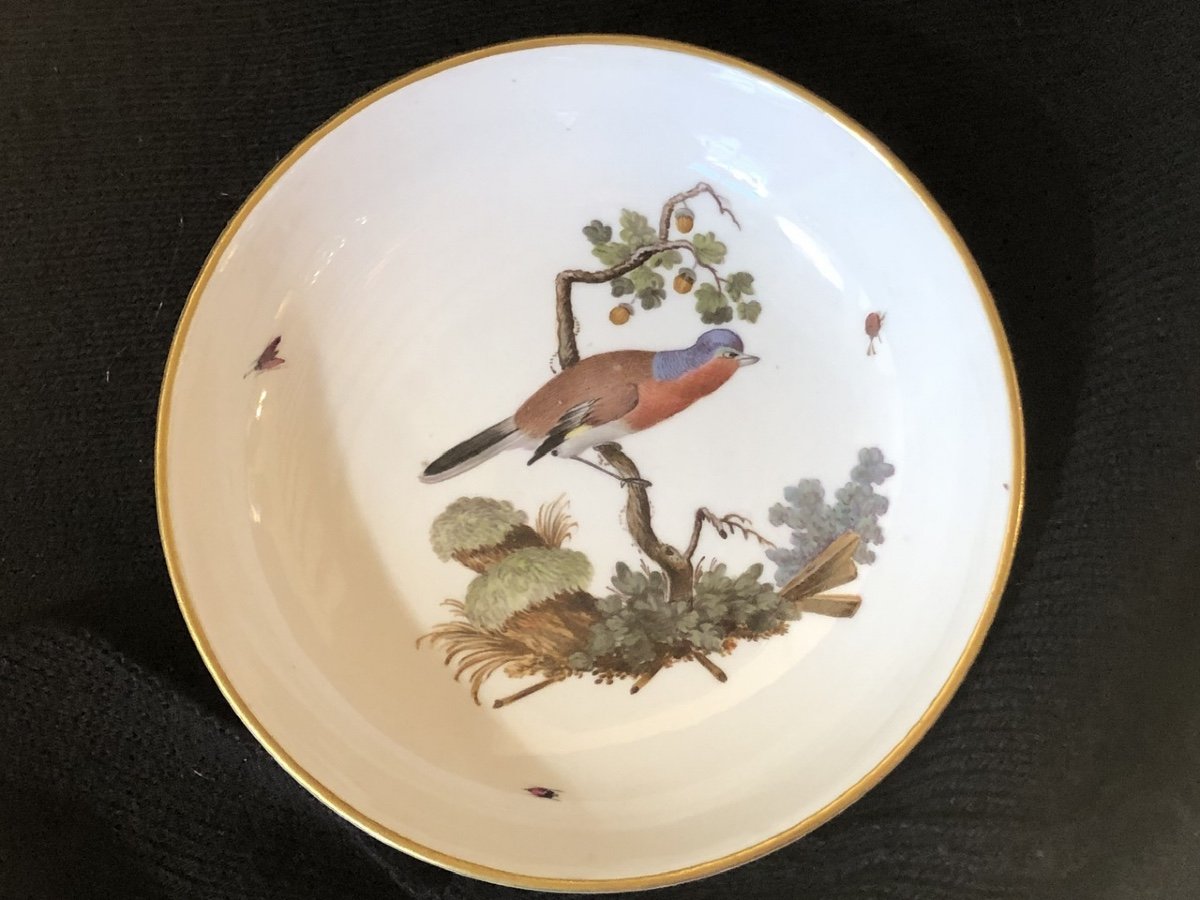 Hochst Porcelain 18th Century: Cup And Saucer With Bird Decor -photo-2