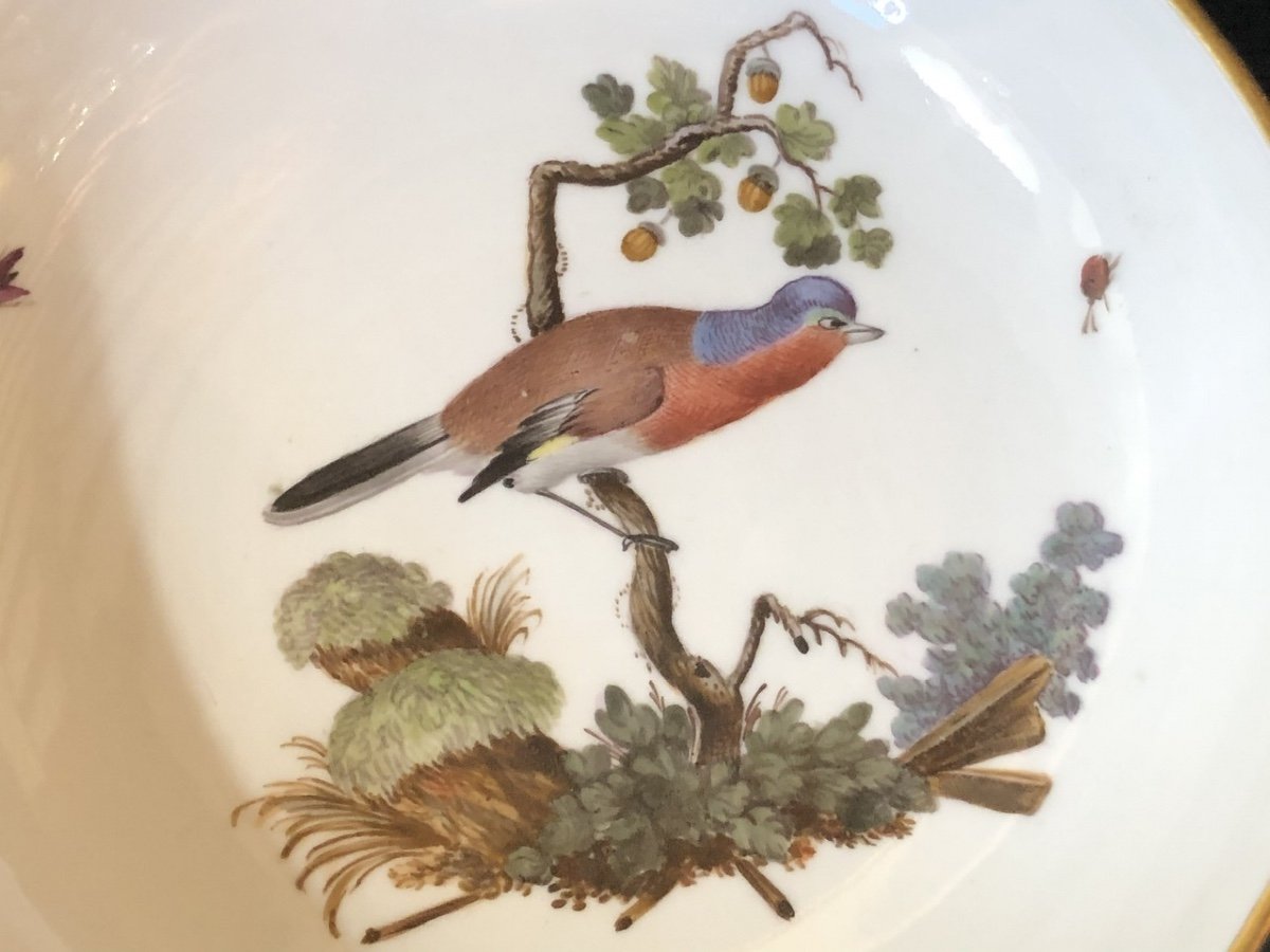 Hochst Porcelaine XVIII éme : Tasse Et Sa Sous-tasse  Décor Oiseaux -photo-3