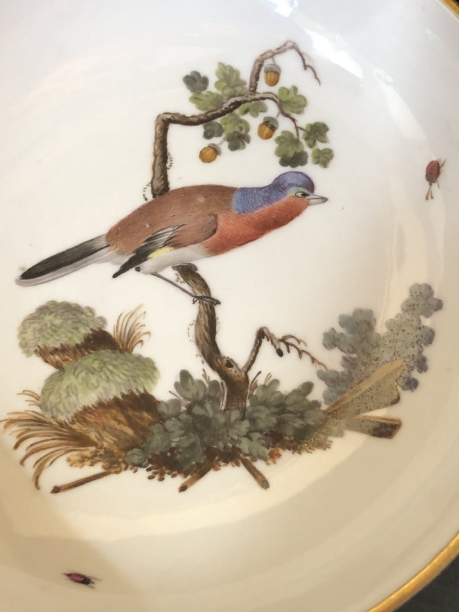 Hochst Porcelaine XVIII éme : Tasse Et Sa Sous-tasse  Décor Oiseaux -photo-4