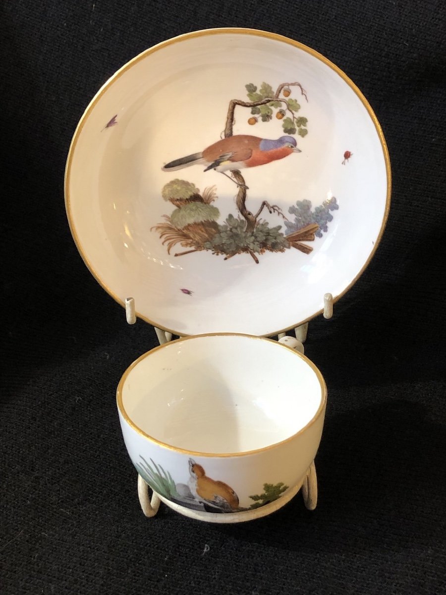 Hochst Porcelain 18th Century: Cup And Saucer With Bird Decor 