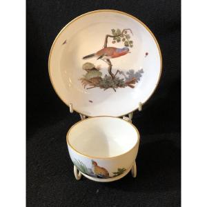 Hochst Porcelain 18th Century: Cup And Saucer With Bird Decor 