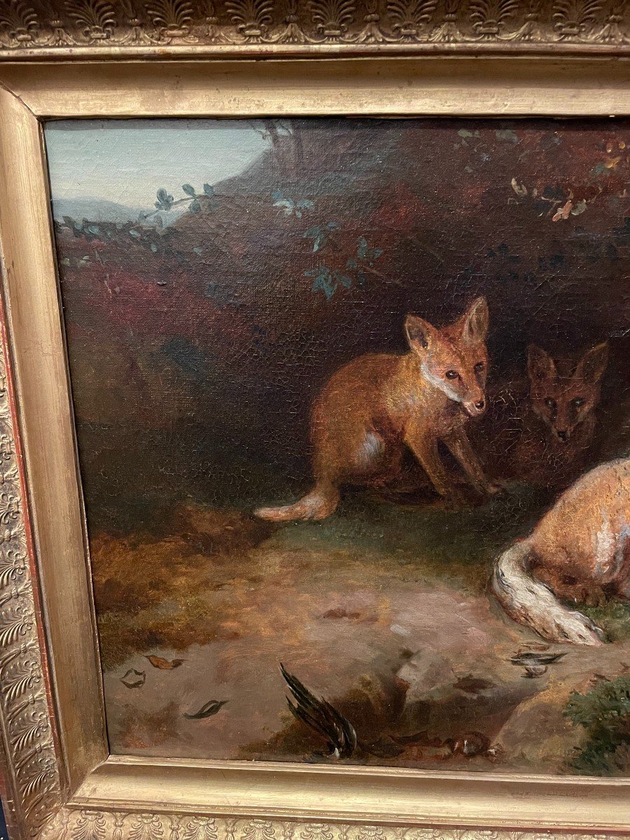 Painting Family Of Foxes After Jacques Brascassat  Nineteenth Century-photo-3