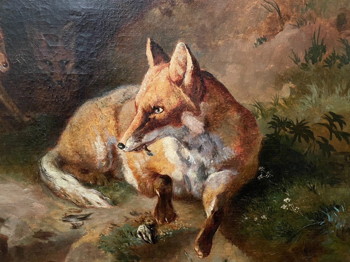 Painting Family Of Foxes After Jacques Brascassat  Nineteenth Century-photo-2