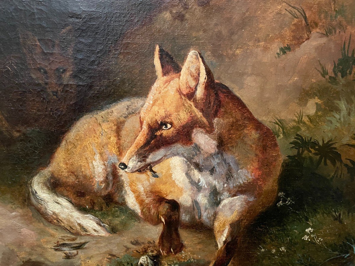 Painting Family Of Foxes After Jacques Brascassat  Nineteenth Century-photo-4