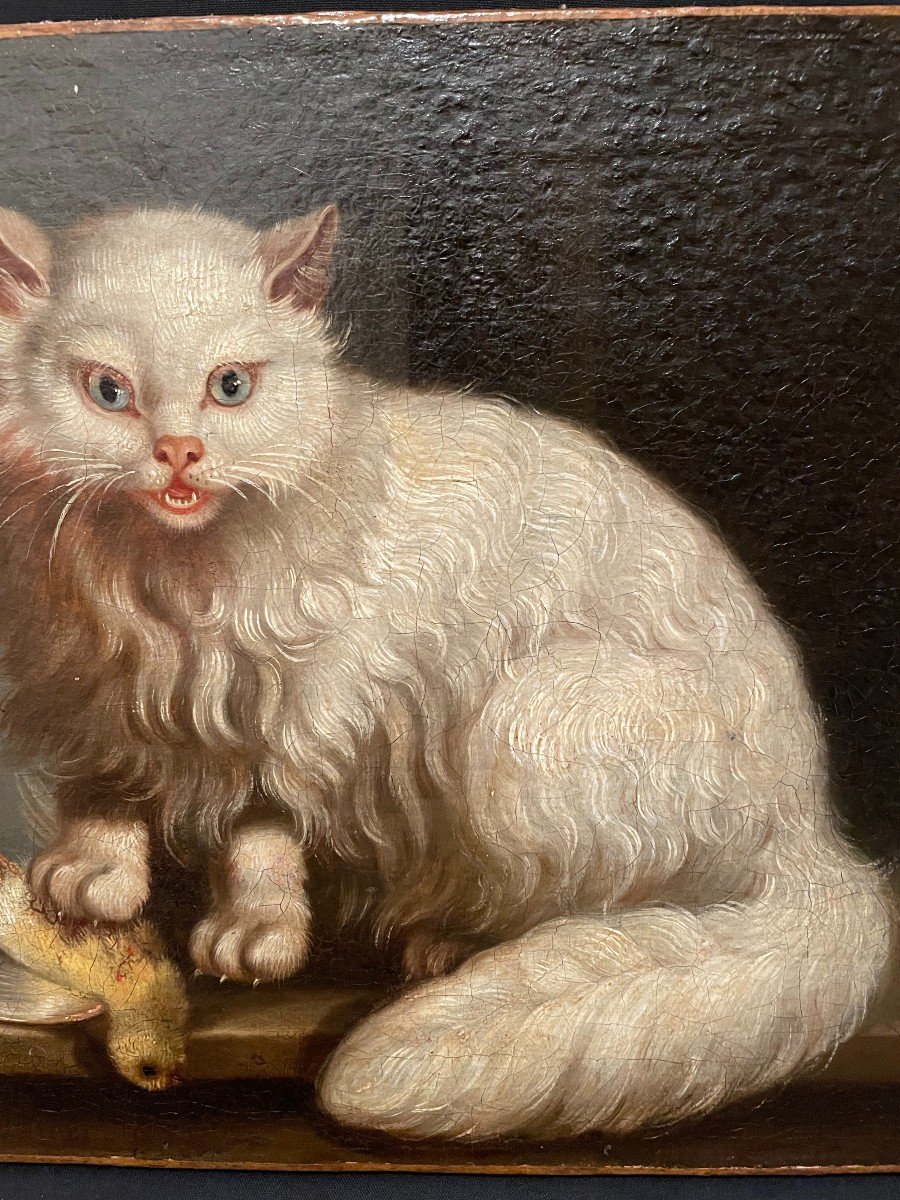 Tableau Le Chat Angora Et Le Serin Par Jacques Barthélémy Delamarre XVIIIème-photo-4