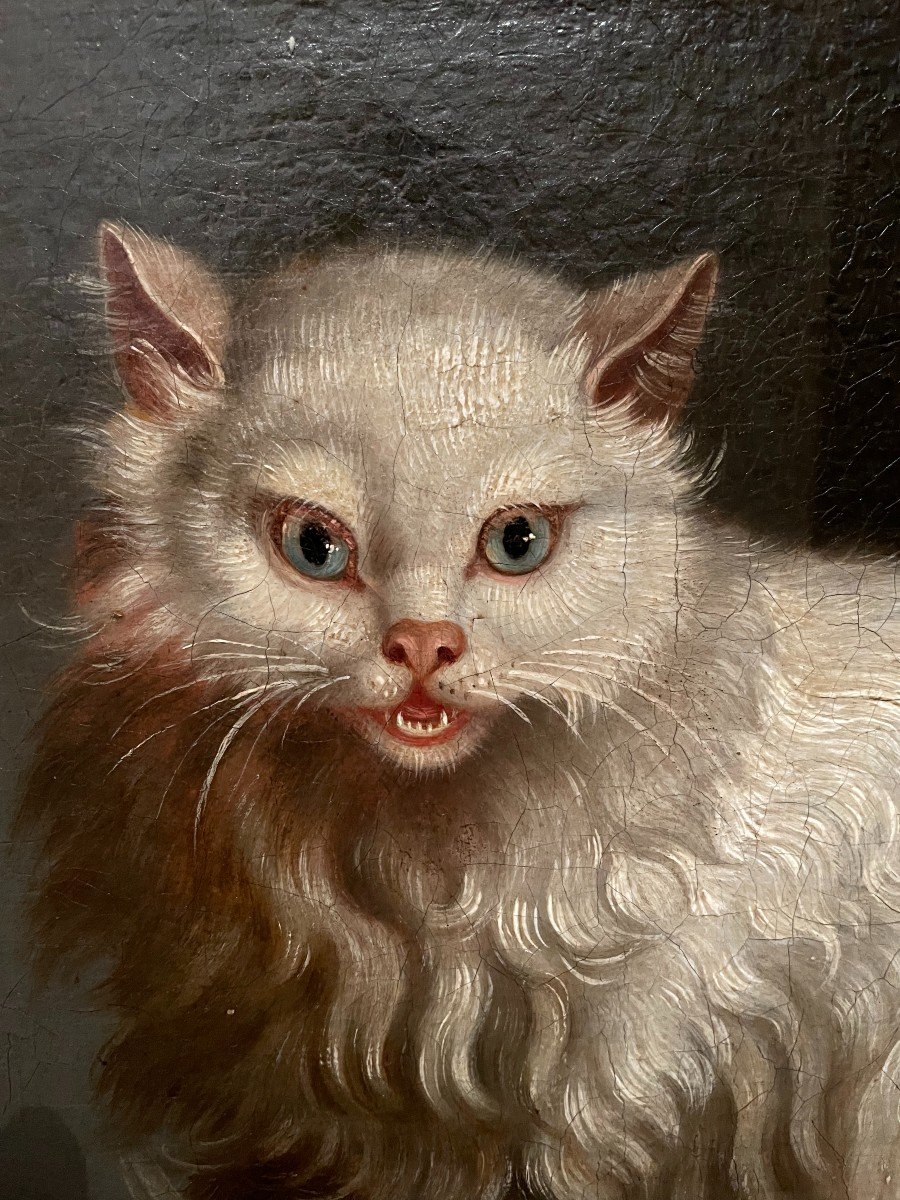 Tableau Le Chat Angora Et Le Serin Par Jacques Barthélémy Delamarre XVIIIème-photo-2